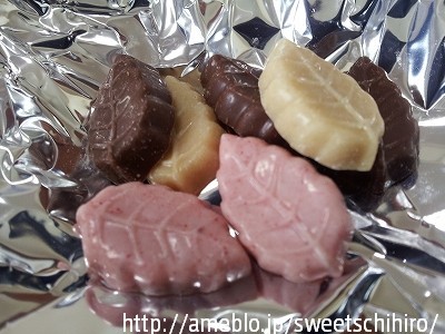 大阪スイーツレポーターちひろの辛口スイーツランキング-モンロワールのチョコレート リーフメモリー