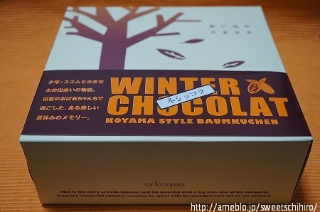 大阪スイーツレポーターちひろの辛口スイーツランキング-小山バウム　冬ショコラ
